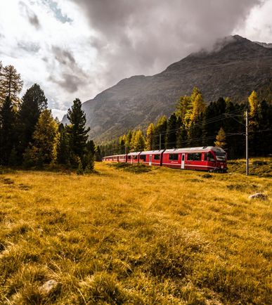 Regiozug der Rhätischen Bahn fährt durch Herbstlandschaft